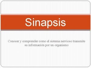 Sinapsis Conocer y comprender como el sistema nervioso