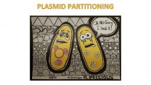 PLASMID PARTITIONING The stable maintenance of lowcopynumber plasmids