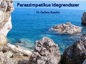 Paraszimpatikus idegrendszer Dr Gallatz Katalin A vegetatv idegrendszer