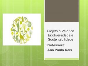 O que é biodiversidade