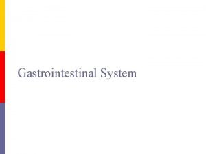 Gastrointestinal System Organ systems p p Gastrointestinal GI