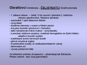 čelistnatci