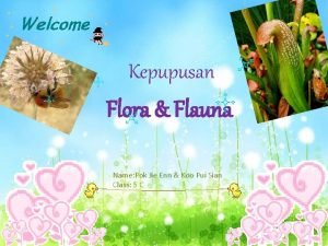 Kepupusan Flora Flauna Name Pok Jie Enn Koo