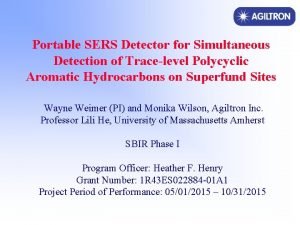 Portable SERS Detector for Simultaneous Detection of Tracelevel