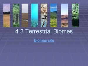 4 3 Terrestrial Biomes site 1 Biome A