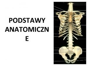 PODSTAWY ANATOMICZN E Pimiennictwo Podstawowe 1 Ignasiak Z