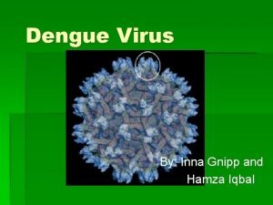 Pathogenesis dengue fever