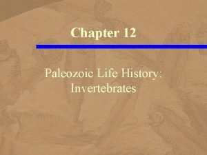 Chapter 12 Paleozoic Life History Invertebrates Burgess Shale