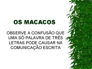 Macaco confuso