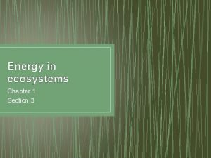 Section 3 energy in ecosystems