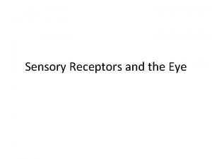 Sensory Receptors and the Eye How sensory receptors