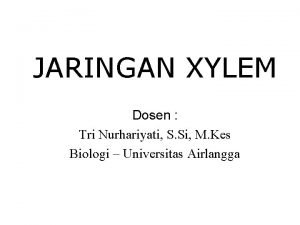 Xylem sekunder