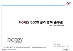 RIOREY DDOS The DDOS Specialist http www riorey