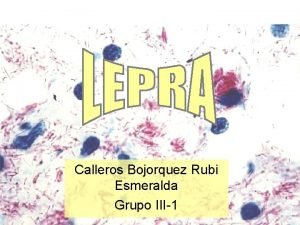 Calleros Bojorquez Rubi Esmeralda Grupo III1 siglo XVI