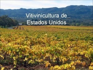 Vitivinicultura de Estados Unidos Datos del pais Superficie