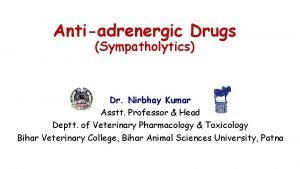Antiadrenergic Drugs Sympatholytics Dr Nirbhay Kumar Asstt Professor
