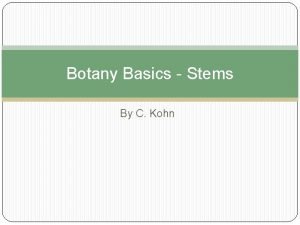 Botany Basics Stems By C Kohn Stems Stems