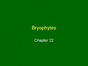 Peristome in bryophytes