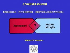 ANGIOFLOGOSI EZIOLOGIA PATOGENESI RISPOSTA IMMUNITARIA Marina Di Domenico