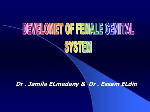 Dr Jamila ELmedany Dr Essam ELdin Objectives l