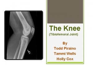 The Knee Tibiofemoral Joint By Todd Piraino Tammi