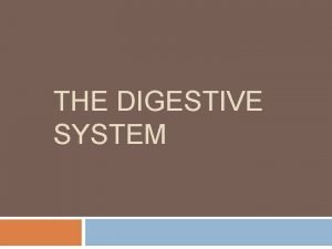 THE DIGESTIVE SYSTEM Digestive System Function Breaks down