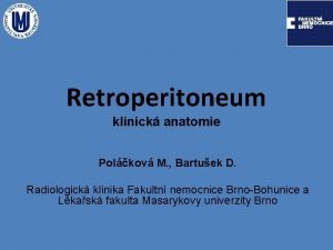 Retroperitoneum klinick anatomie Polkov M Bartuek D Radiologick