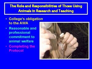 The Role and Responsibilities of Those Using Animals