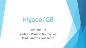 HgadoGB DMS 201 CA Yadilex Rosado Rodrguez Prof