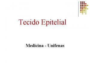Tecido especializado na absorção Tecido especializado na absorção