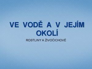 VE VOD A V JEJM OKOL ROSTLINY A