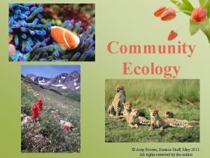 Community Ecology Amy Brown Science Stuff May 2012