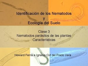 Identificacin de los Nematodos y Ecologa del Suelo