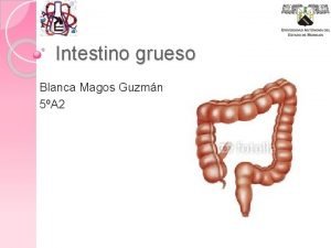 Intestino grueso Blanca Magos Guzmn 5A 2 Cuestionario