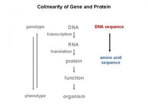 Genotype