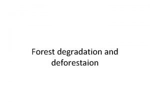 Facts about deforestaion