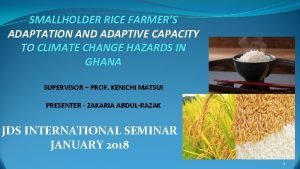 SMALLHOLDER RICE FARMERS ADAPTATION AND ADAPTIVE CAPACITY TO