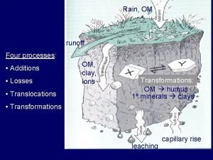 Rain OM runoff Four processes Additions Losses Translocations