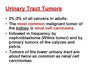 Tumor in the urinary tract