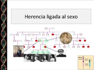 Herencia ligada al sexo Temas Determinacin del sexo