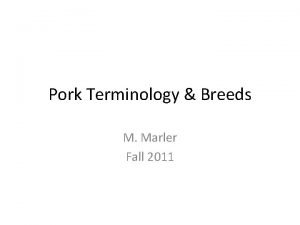 Pork Terminology Breeds M Marler Fall 2011 Swine