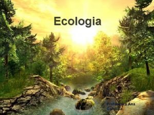 Ecossistema aquático