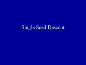 Single Seed Descent SSD Single seed descent can