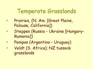Temperate Grasslands Prairies N Am Great Plains Palouse