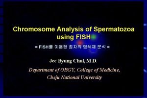 Chromosome Analysis of Spermatozoa using FISH FISH Jee