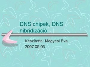 DNS chipek DNS hibridizci Ksztette Megyesi va 2007