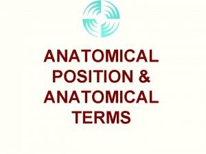 ANATOMICAL POSITION ANATOMICAL TERMS DISSECTDISSECTION ANATOMICAL POSITION WHY