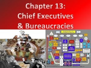 Chief executives and bureaucracies