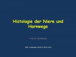 Histologie der Niere und Harnwege Prof Dr Pl