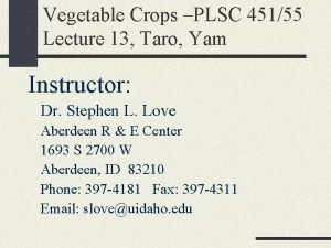 Vegetable Crops PLSC 45155 Lecture 13 Taro Yam